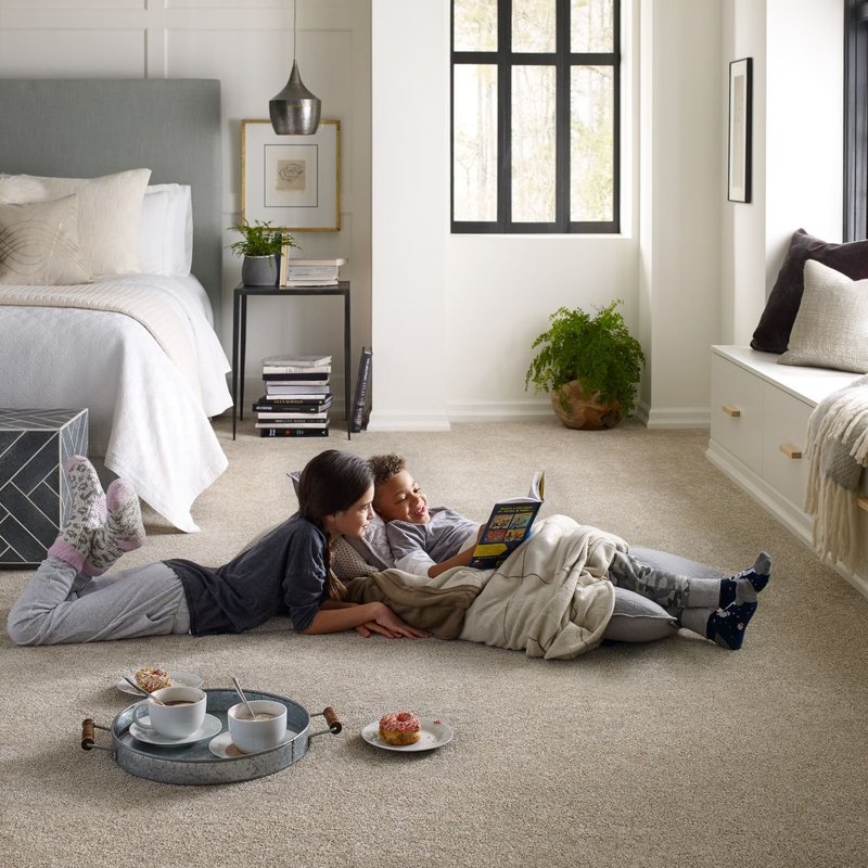 before you floor - Home Design of Hastings in MN