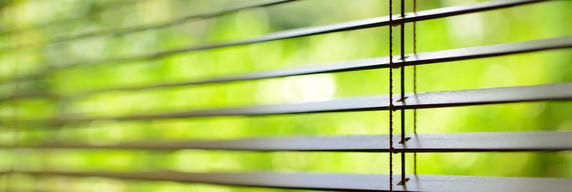 window blinds - Home Design of Hastings in MN